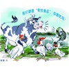 鸡猪鱼拿药当饭吃--养殖业滥用抗生素成公开秘密